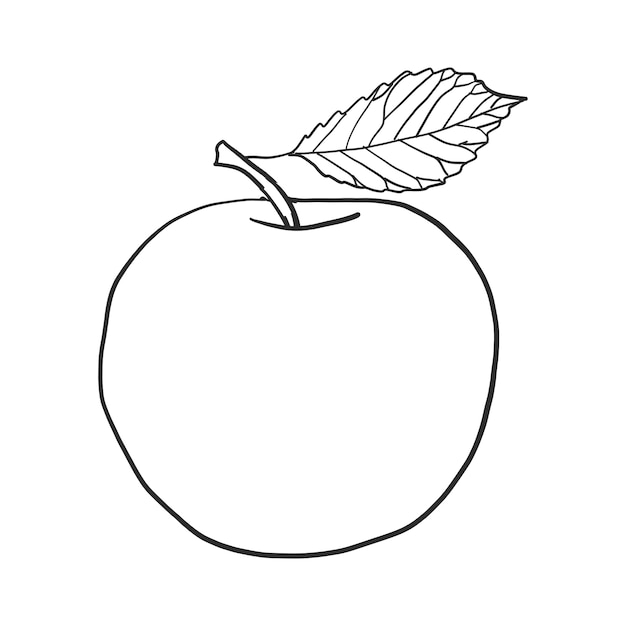 Doodle apple vector