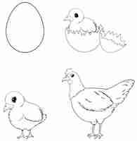 Free vector doodle chicken life cycle