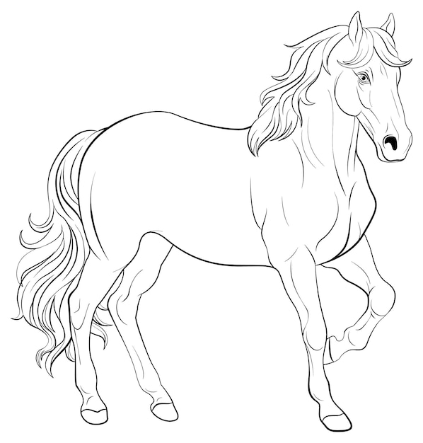 Free vector doodle horse cartoon doodle