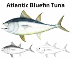 Бесплатное векторное изображение Редактирующий символ для иллюстрации атлантического голубого тунца
