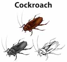 Бесплатное векторное изображение Составление персонажа для таракана
