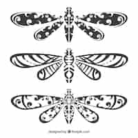 Free vector dragonfly tattoo collection