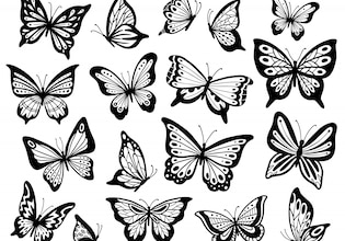 butterfly drawings