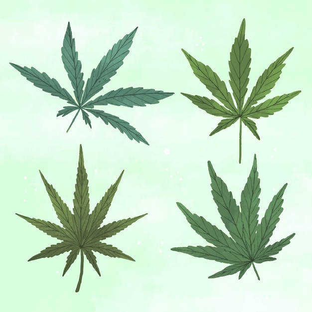 Drawn botanical cannabis leaves