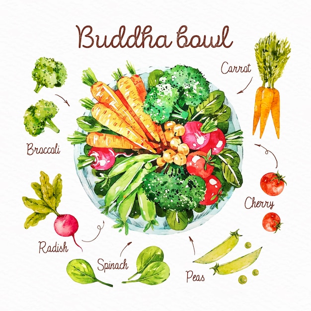 Free vector drawn buddha bowl recipe