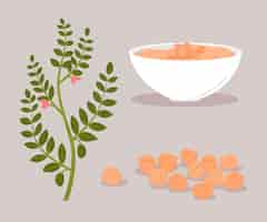 Free vector drawn chickpea beans and plant illustration