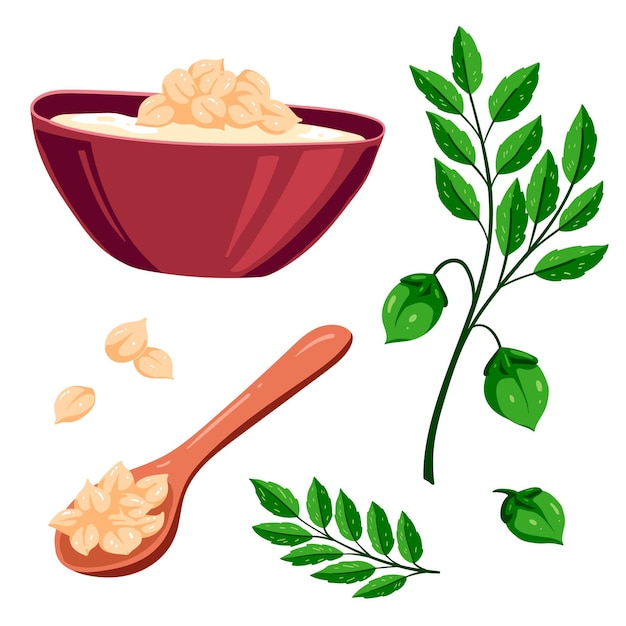 Drawn chickpea beans with plant illustration