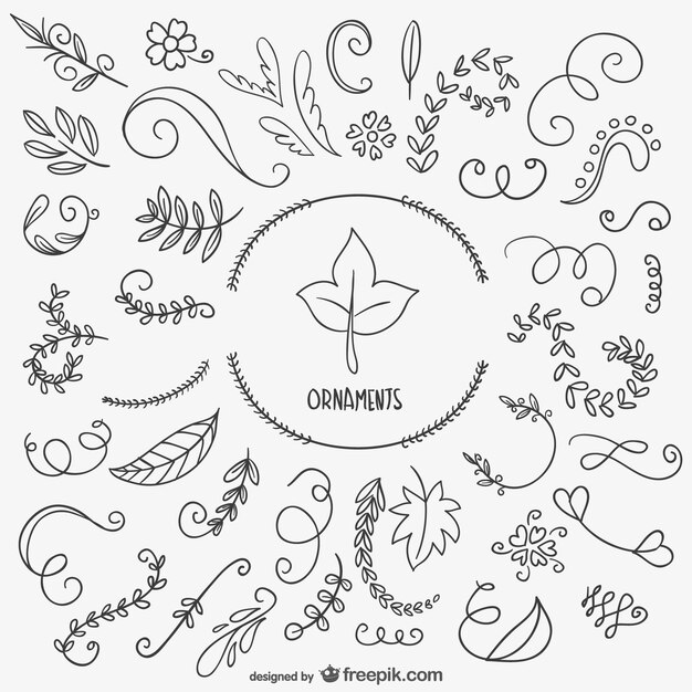 Drawn leaves and ornaments