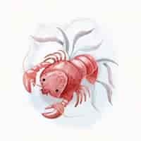 Free vector drawn marine crawfish illustration