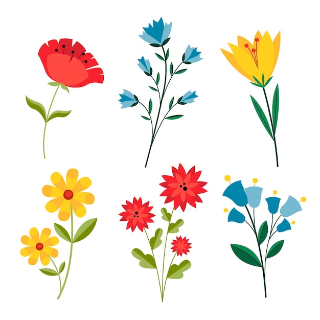 Drawn spring flower pack