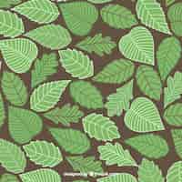 Free vector drawn summer leaves