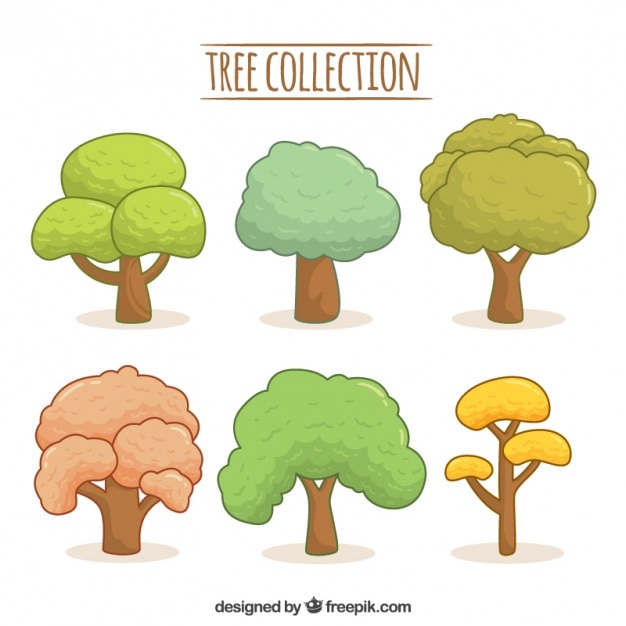 Нарисованные коллекция деревьев