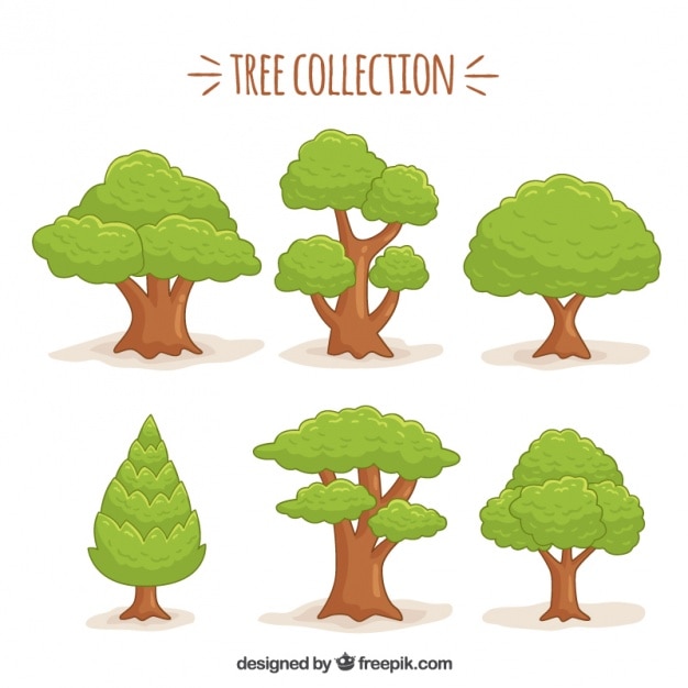 Free vector drawn tree set