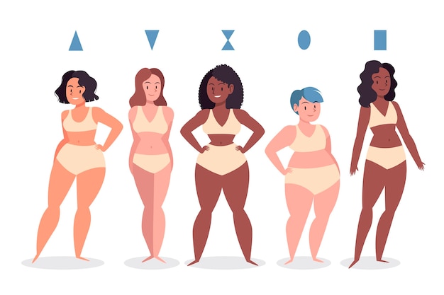 Drawn types of female body shapes