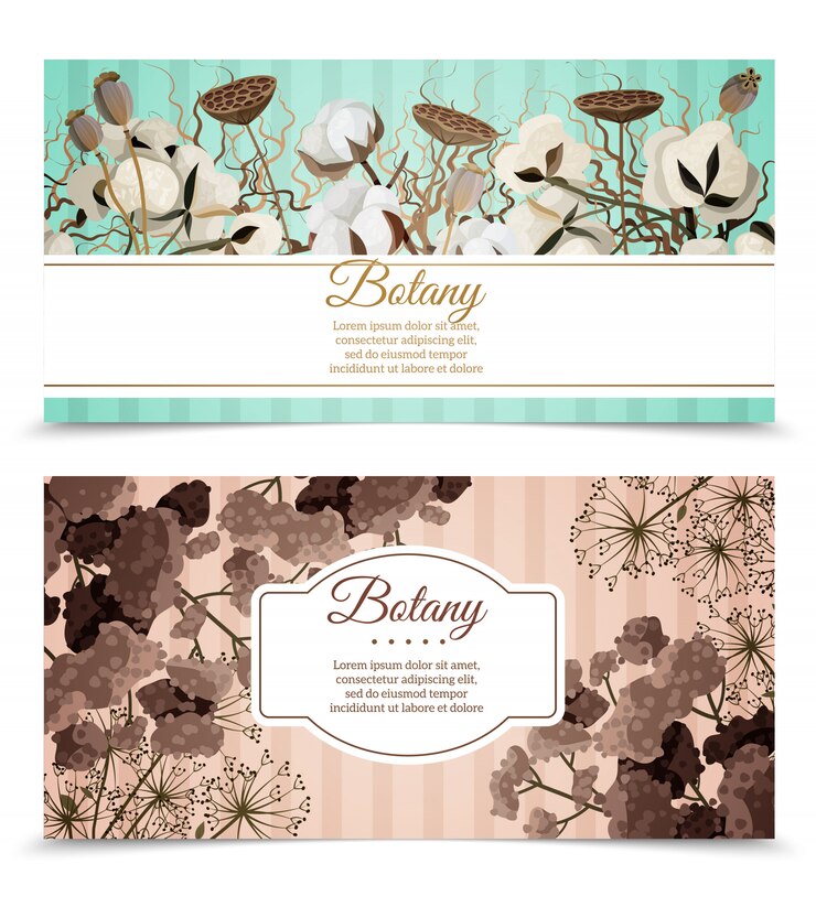 Free Vector dry flowers horizontal banners