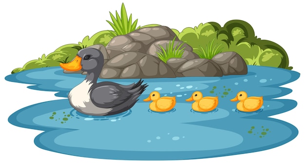 Free vector duck family enjoying the pond