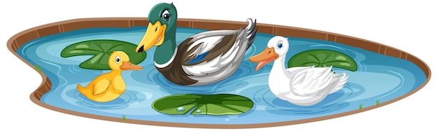 Free vector duck family in pond