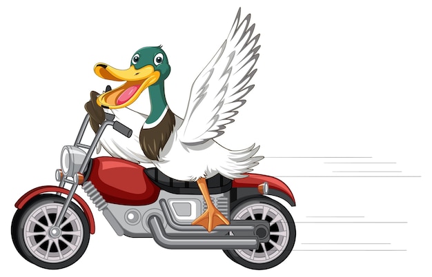 Free vector duck riding motorcycle in cartoon style