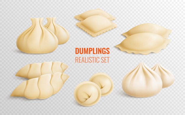 Dumplings transparent set with diversity of different national traditions in realistic style isolated 