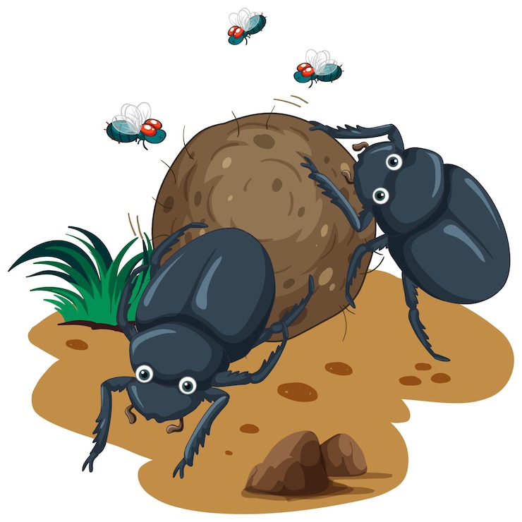 Free Vector a dung beetle cartoon character