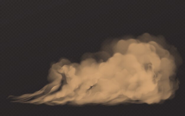 粉塵雲、汚れた茶色の煙、濃厚なスモッグ