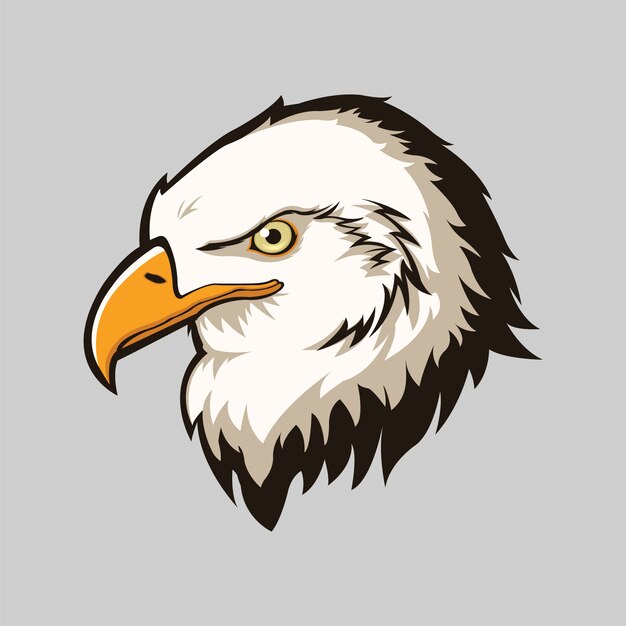 Eagle head isolated background