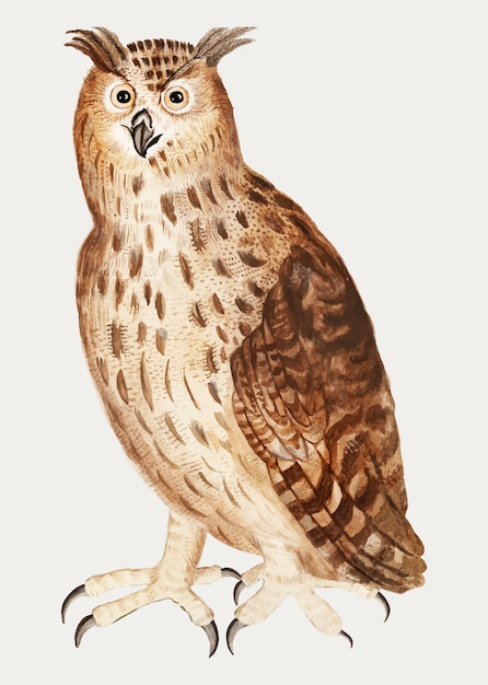 Eagle owl in vintage style