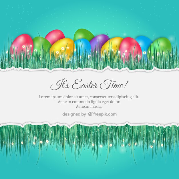 Happy easter border with grass and eggs Royalty Free Vector