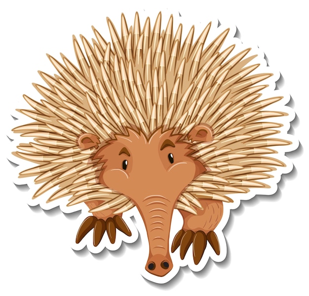 Echidna cartoon character on white background
