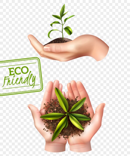 Eco Friendly Ecology Concept