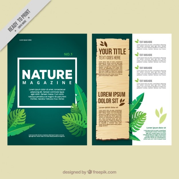 Free vector eco magazine with leaves of jungle