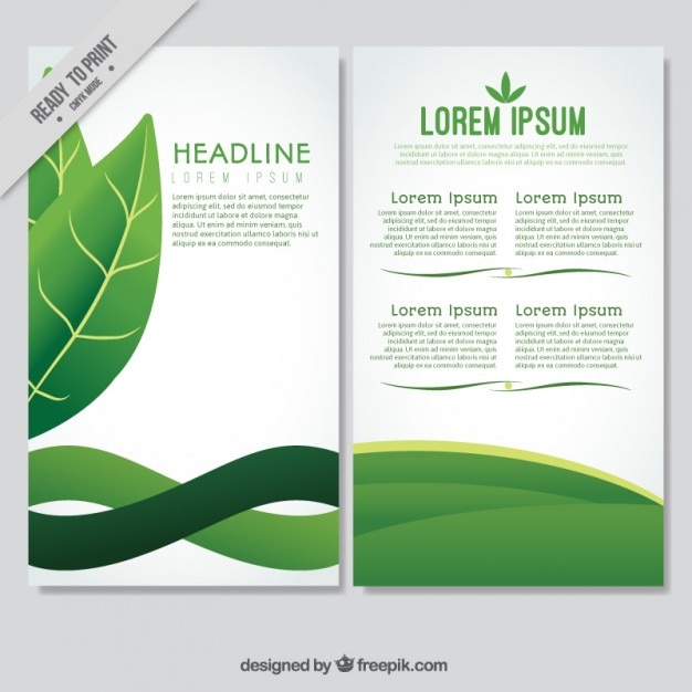 Free vector ecological flyer with leaves