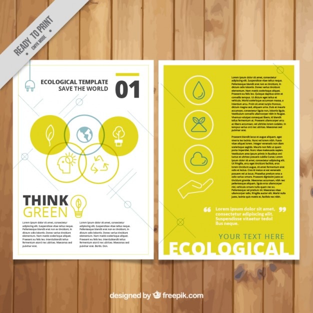 Ecological flyer in yellow color