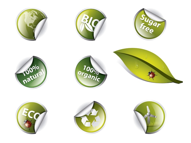 Free vector ecological labels collection