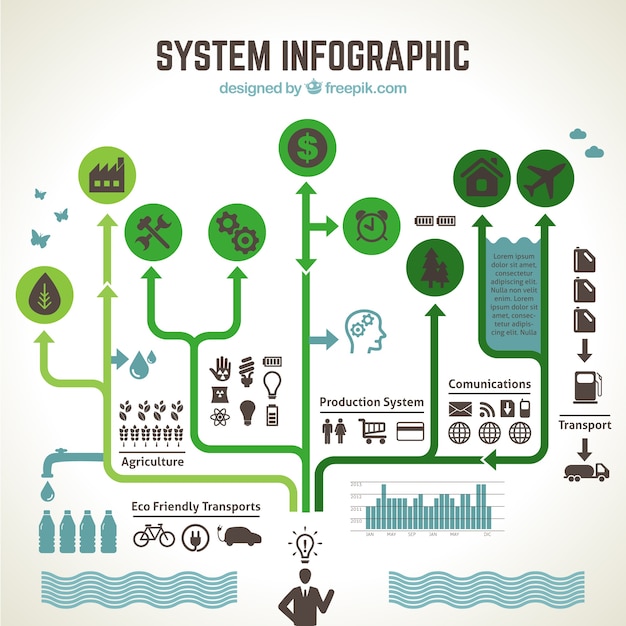 Ecological system infographic