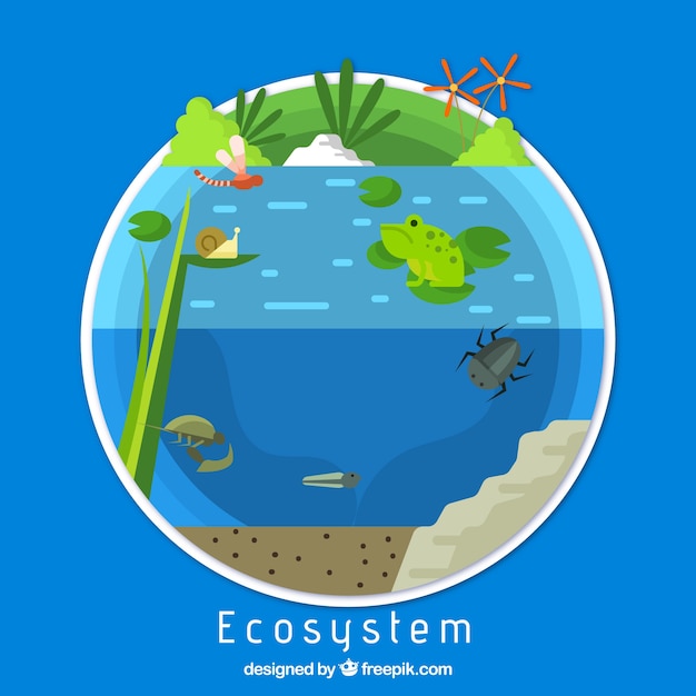 Free vector ecology and ecosystem concept