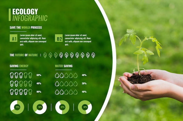 Ecology Green Seedling Infographic Chart – Free Vector Download