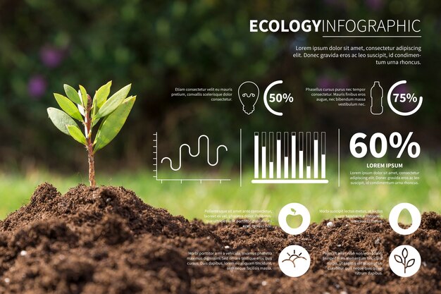 Экология инфографики с фото