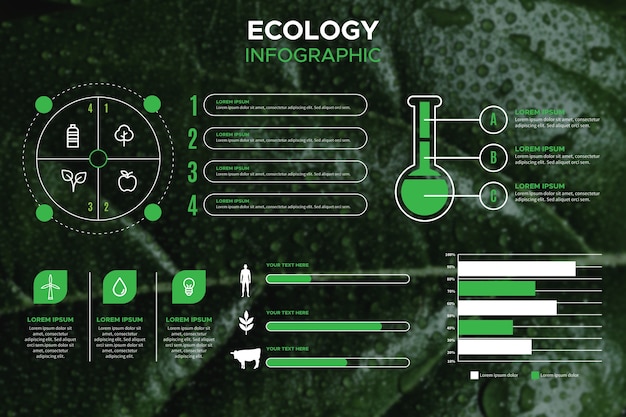 Ecology infographic with photo