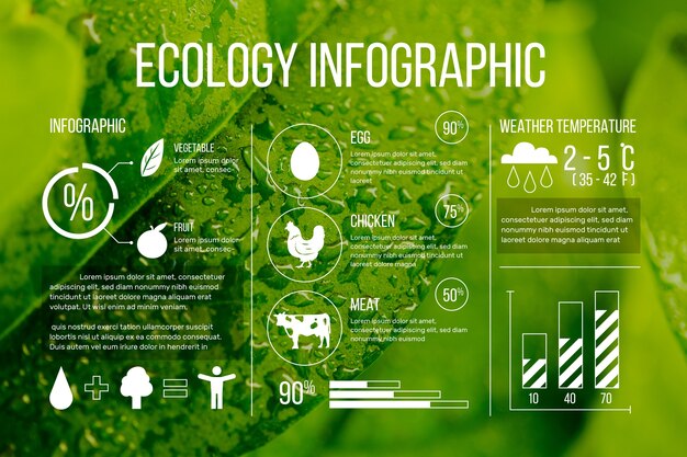 사진과 함께 생태 infographic