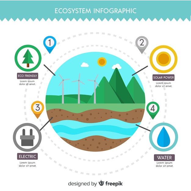 Sfondo infografica ecosistema