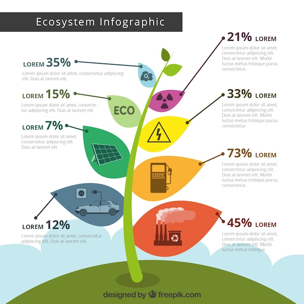 생태계 infographic 개념