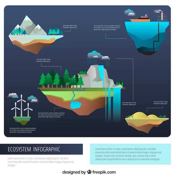 Ecosystem infographic concept