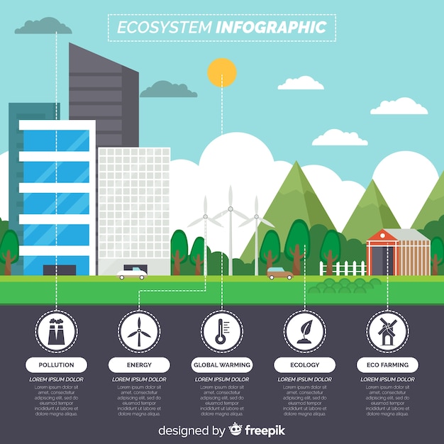 Ecosystem infographics