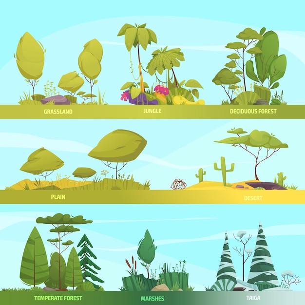 Free vector ecosystem types cartoon banner set with temperate forest and desert compositions isolated vector illustration