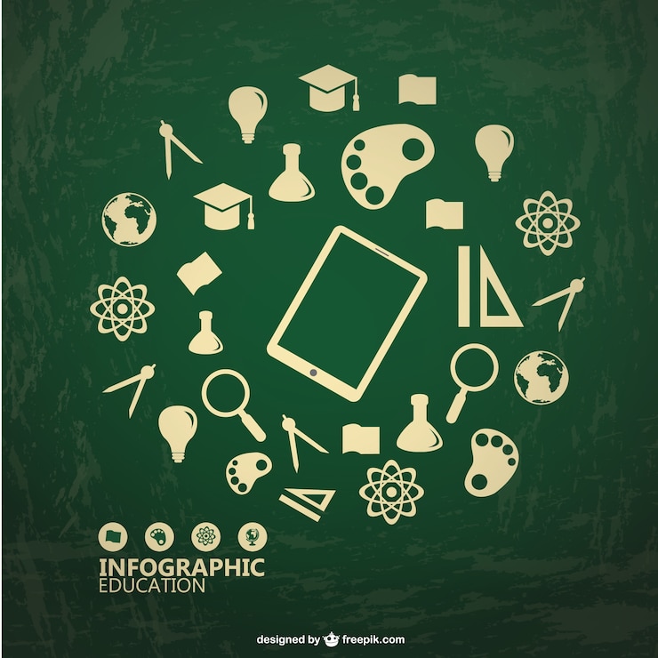 Free Vector education infographic freebie
