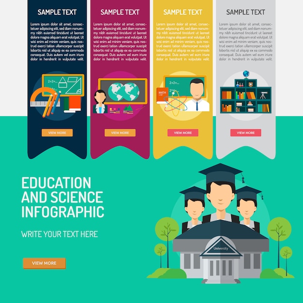 Free vector education infographic template