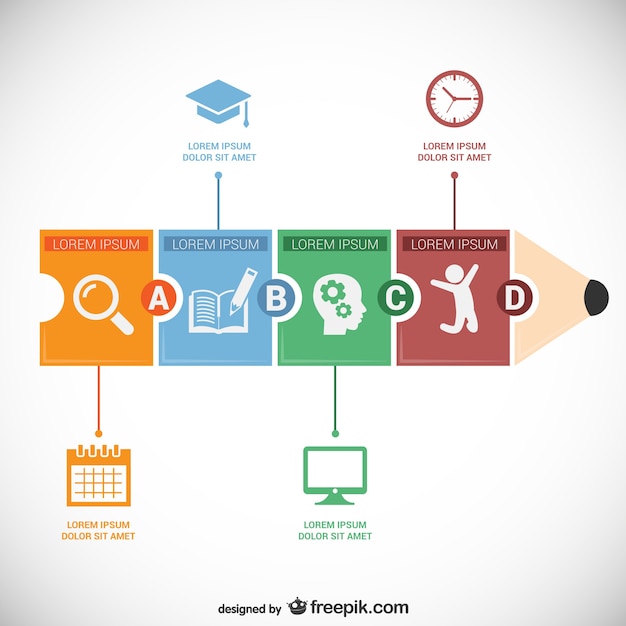 Education infographic template