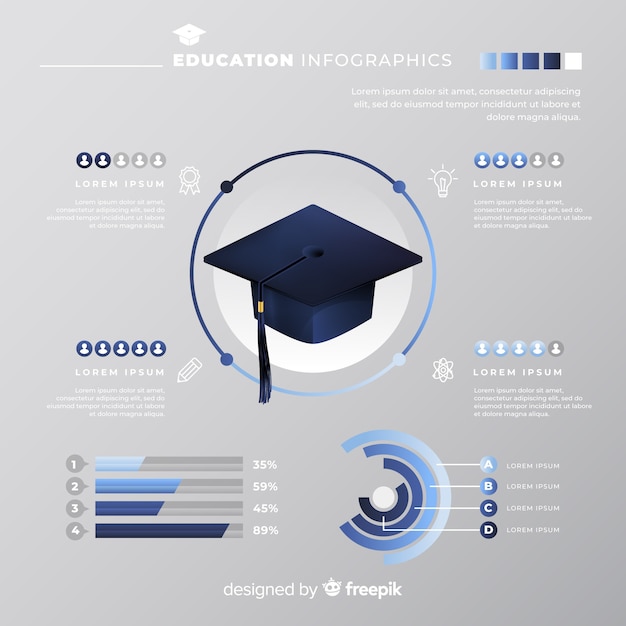 Free vector education infographic