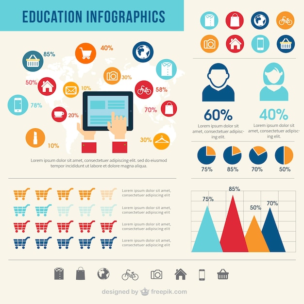 Free vector education infographics